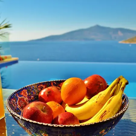 Mercan Kalkan